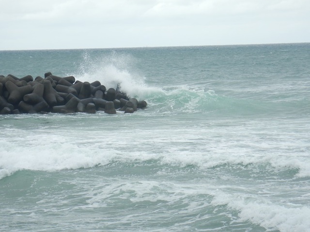 DSCN0978.jpg