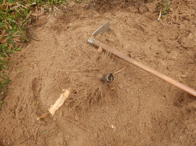 DSCN1015.jpg
