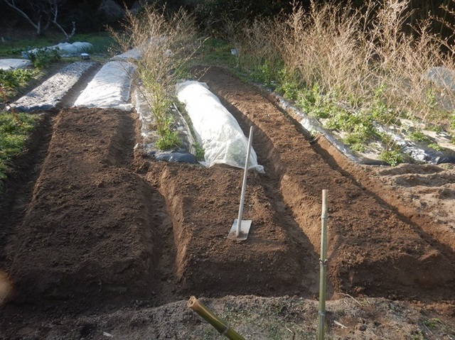 DSCN1042.jpg