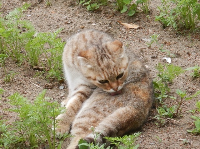 DSCN2512.jpg