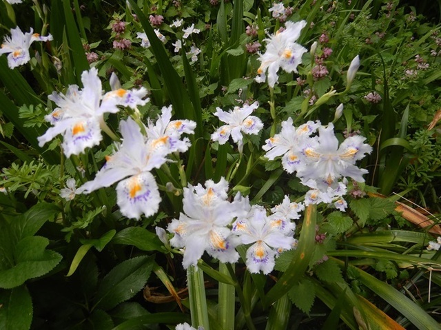 DSCN2527.jpg