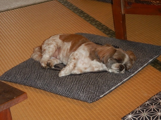 DSCN2532.jpg